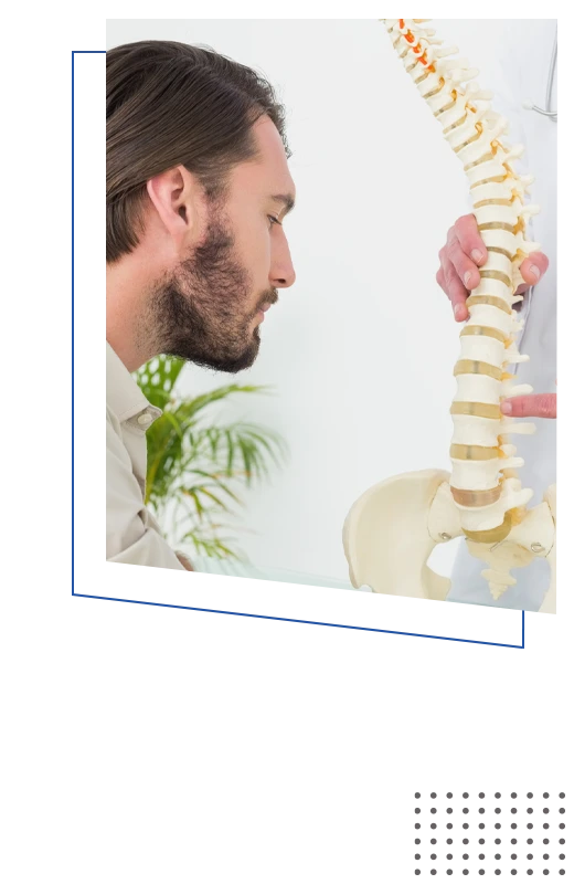 Chiropractic Warren MI Spine Chiropractic Warren MI Spine